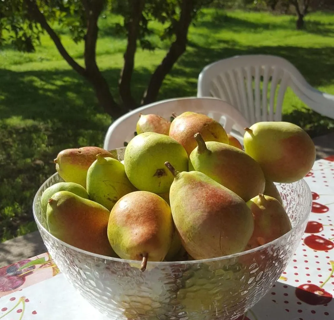 Alojamento de Acomodação e Pequeno-almoço Kepos Room Tortolì Itália